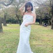 ヒメ日記 2025/10/30 01:31 投稿 橘芹那・せりにゃん T-girl （大阪）