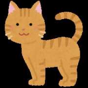 ヒメ日記 2025/10/14 18:40 投稿 ましろ シェリーエンジェル