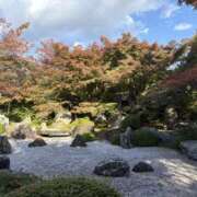 ましろ お久しぶりです🍀*゜ シェリーエンジェル