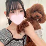 ヒメ日記 2025/09/03 00:36 投稿 ひな Gossip girl