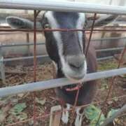 ヒメ日記 2026/02/18 18:49 投稿 ねむ 舐めたくてグループ〜ペロンチョ学園〜八王子校