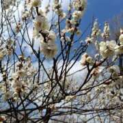 ヒメ日記 2026/02/22 15:39 投稿 ねむ 舐めたくてグループ〜ペロンチョ学園〜八王子校