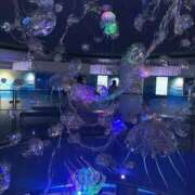 ヒメ日記 2026/04/29 22:33 投稿 あろま IRIS(岐阜)
