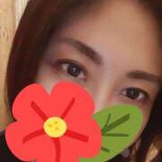 ヒメ日記 2025/09/17 06:30 投稿 常盤(ときわ) 相模原人妻城