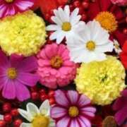 ヒメ日記 2025/11/03 19:03 投稿 常盤(ときわ) 相模原人妻城