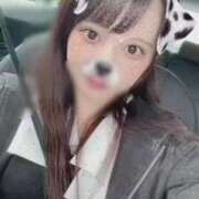 ヒメ日記 2025/12/18 14:31 投稿 紫乃宮みお ウルトラプラチナム