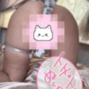 ヒメ日記 2025/09/14 07:00 投稿 ゆな 若妻淫乱倶楽部