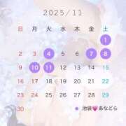 ヒメ日記 2025/10/31 22:00 投稿 凰条ゆあ＠ブレイジングアナドラ アナラードライ