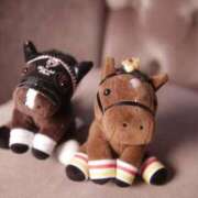 ヒメ日記 2025/12/22 21:02 投稿 凰条ゆあ＠ブレイジングアナドラ アナラードライ