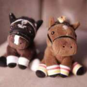 ヒメ日記 2025/12/28 16:14 投稿 凰条ゆあ＠ブレイジングアナドラ アナラードライ