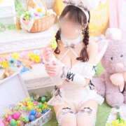 ヒメ日記 2026/03/24 07:01 投稿 凰条ゆあ＠ブレイジングアナドラ アナラードライ