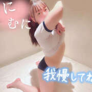 ヒメ日記 2025/09/09 09:42 投稿 はな 折り紙 ORIGAMI