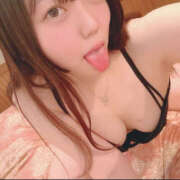 ヒメ日記 2025/09/12 15:03 投稿 はな 折り紙 ORIGAMI