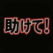 ヒメ日記 2025/11/20 05:37 投稿 白星ほたる -NEO-皇帝別館（中央街）