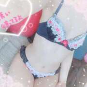 ヒメ日記 2025/09/13 18:25 投稿 矢〇美々 変態ドットコム～即尺痴女伝説