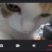 ヒメ日記 2026/04/29 03:17 投稿 RAN GRAND STAGE