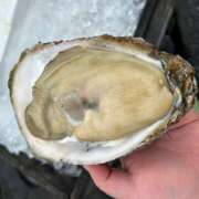 ヒメ日記 2025/10/08 18:30 投稿 つぐみ 豊満熟女