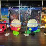 ヒメ日記 2025/11/17 12:00 投稿 つぐみ 豊満熟女