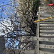 ヒメ日記 2026/02/12 12:06 投稿 つぐみ 豊満熟女