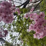 ヒメ日記 2026/03/19 15:52 投稿 つぐみ 豊満熟女