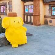 ヒメ日記 2025/09/06 04:28 投稿 おと バニーオンデマンド