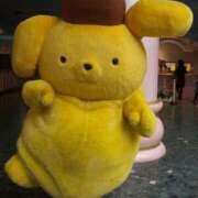 ヒメ日記 2025/09/25 02:18 投稿 おと バニーオンデマンド