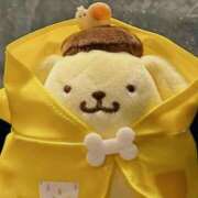 ヒメ日記 2025/10/22 23:00 投稿 おと バニーオンデマンド