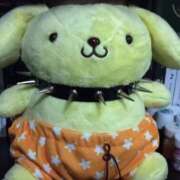 ヒメ日記 2025/10/26 23:00 投稿 おと バニーオンデマンド