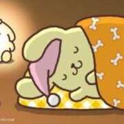 ヒメ日記 2026/01/01 15:10 投稿 おと バニーオンデマンド