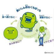 ヒメ日記 2026/02/22 17:15 投稿 おと バニーオンデマンド