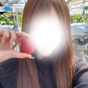 ヒメ日記 2026/02/24 19:03 投稿 ☆聖川【ひじり】☆ club MUTEKI