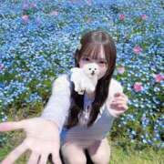 るか ありがとう〜😻 SOPHIA（ソフィア）