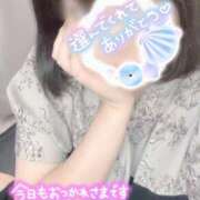 ヒメ日記 2025/09/12 14:21 投稿 つばき 船橋ときめき女学園