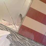 ヒメ日記 2025/10/17 00:02 投稿 つばき 船橋ときめき女学園