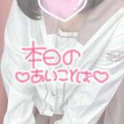 つばき あいことば🗝 船橋ときめき女学園