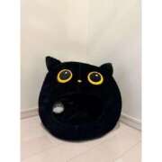 ヒメ日記 2025/10/22 12:10 投稿 ゆい ビデオdeはんど すすきの校