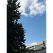 ヒメ日記 2025/10/23 09:00 投稿 ゆい ビデオdeはんど すすきの校