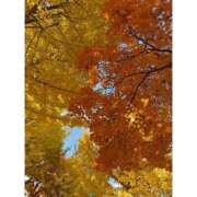 ヒメ日記 2025/11/04 12:20 投稿 ゆい ビデオdeはんど すすきの校