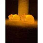 ヒメ日記 2025/11/07 07:50 投稿 ゆい ビデオdeはんど すすきの校