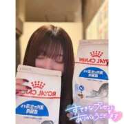 ヒメ日記 2026/01/15 13:20 投稿 ゆい ビデオdeはんど すすきの校