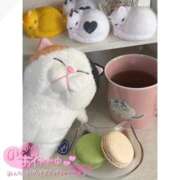 ヒメ日記 2026/01/17 09:50 投稿 ゆい ビデオdeはんど すすきの校