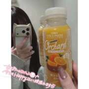 ヒメ日記 2026/02/25 07:00 投稿 ゆい ビデオdeはんど すすきの校