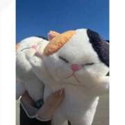 ヒメ日記 2026/03/11 10:20 投稿 ゆい ビデオdeはんど すすきの校