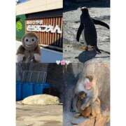 ヒメ日記 2026/03/29 13:30 投稿 ゆい ビデオdeはんど すすきの校