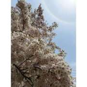 ヒメ日記 2026/04/29 10:20 投稿 ゆい ビデオdeはんど すすきの校