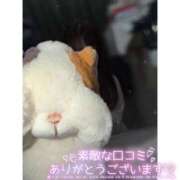 ヒメ日記 2026/06/24 13:30 投稿 ゆい ビデオdeはんど すすきの校