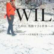 ヒメ日記 2026/03/09 22:35 投稿 さき 逢って30秒で即尺