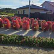 ヒメ日記 2025/11/25 17:50 投稿 武藤あんな 五十路マダム 新潟店(カサブランカグループ)