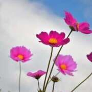 ヒメ日記 2025/09/10 22:24 投稿 羽田みう 奴隷志願！変態調教飼育クラブ梅田店