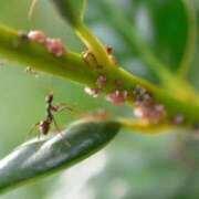 ヒメ日記 2025/09/18 13:15 投稿 羽田みう 奴隷志願！変態調教飼育クラブ梅田店